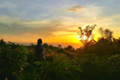 拾ったカードと名もない船と、エデンの魔法 龍生 (47) 埼玉県（出張性感マッサージ