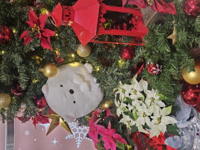 れんと (29) 大阪 萬天堂 / 出張性感マッサージ