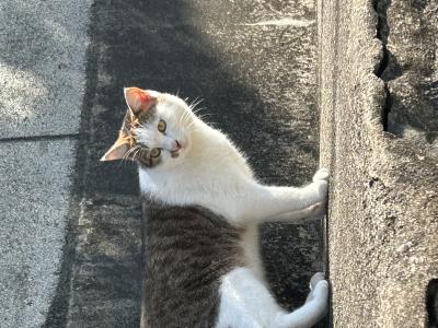 凪葵 (35) 長崎 萬天堂 / 出張性感マッサージ