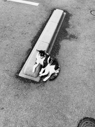 凪葵 (35) 長崎 萬天堂 / 出張性感マッサージ