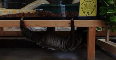 無題 恵一 (36) 岡山県（出張性感マッサージ