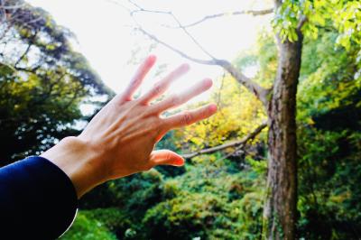 恵一 (36) 岡山 萬天堂 / 出張性感マッサージ