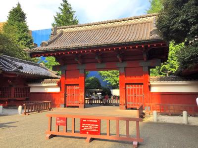 伊月 (43) 新潟 萬天堂 / 出張性感マッサージ