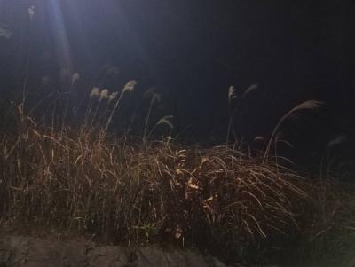 信 (33) 東京 萬天堂 / 出張性感マッサージ