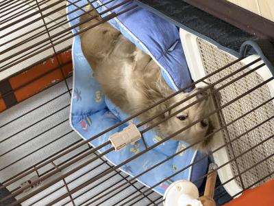 今日もお疲れさま…そんな顔☺️ 風羽 (34) 京都府（出張性感マッサージ