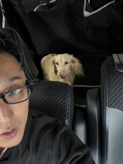 🎄愛犬と一緒に、ちょっと特別なドッグラン時間🐾 風羽 (34) 京都府（出張性感マッサージ