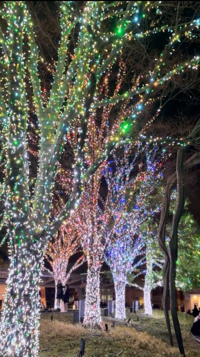 湊人 (36) 東京 萬天堂 / 出張性感マッサージ