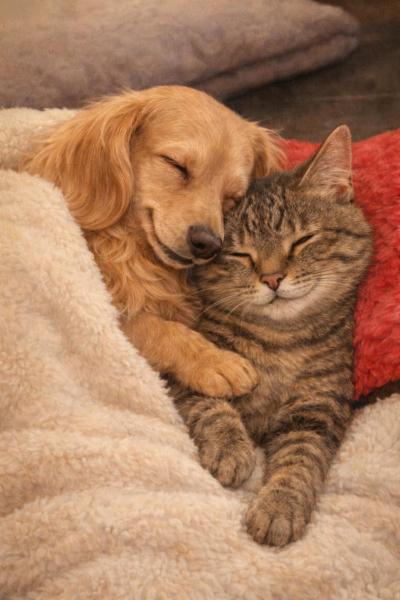 はじめての女風🪶セラピストにしてもらえること、やさしく解説します 風羽 (34) 京都府（出張性感マッサージ