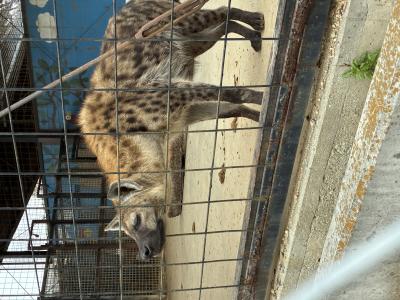 みあ (33) 岡山 萬天堂 / 出張性感マッサージ