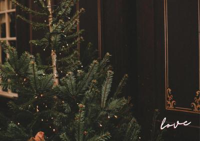 Christmas love (49) 埼玉県（出張性感マッサージ