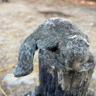 スグル (51) 大阪 萬天堂 / 出張性感マッサージ