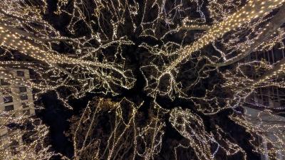 ハル (43) 仙台 萬天堂 / 出張性感マッサージ