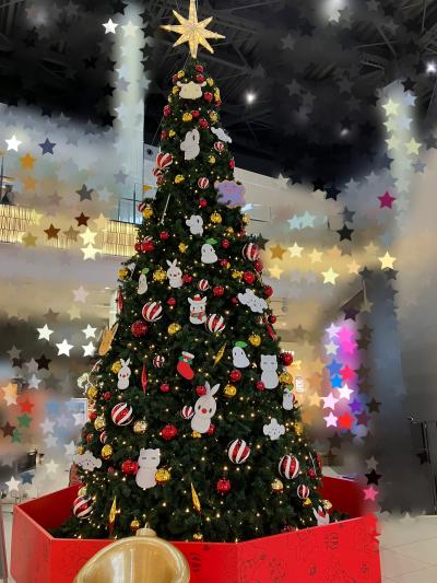 伊月 (43) 新潟 萬天堂 / 出張性感マッサージ