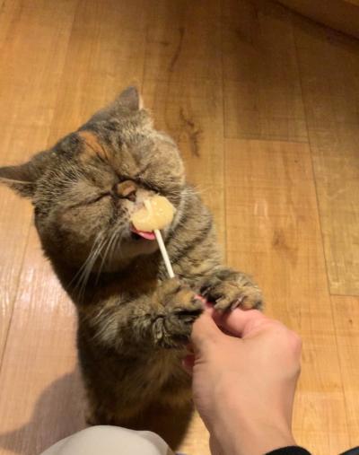 陽流 (28) 水戸 萬天堂 / 出張性感マッサージ