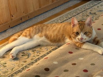 日出山 (30) 仙台 萬天堂 / 出張性感マッサージ