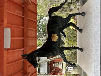 ありがとう🤗 ソウ (35) 広島県（出張性感マッサージ