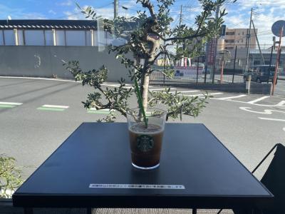 鈴 (43) 東京 萬天堂 / 出張性感マッサージ