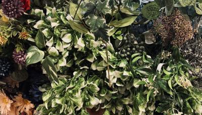 周遊 (40) 近江 萬天堂 / 出張性感マッサージ