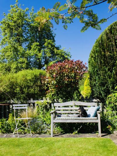 大晦日の静かな熱 椎名 (52) 東京都（出張性感マッサージ