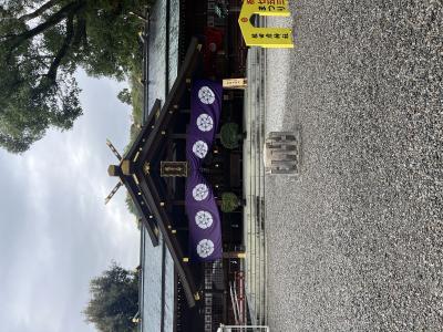 年末ですね‼️ サトシ (44) 埼玉県（出張性感マッサージ