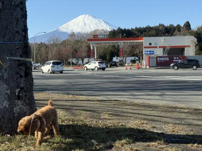 行人 (50) 東京 萬天堂 / 出張性感マッサージ