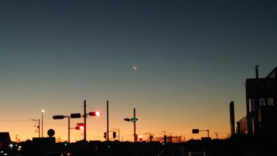 SINKA (50) 東京 萬天堂 / 出張性感マッサージ