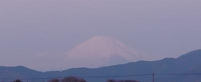 SINKA (50) 東京 萬天堂 / 出張性感マッサージ