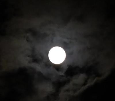 ゆい (41) 盛岡 萬天堂 / 出張性感マッサージ