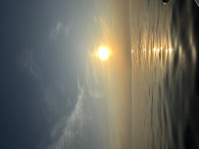 シャチ (23) 京都 萬天堂 / 出張性感マッサージ