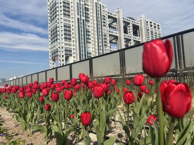 冬獅郎 (35) 東京 萬天堂 / 出張性感マッサージ