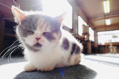 恵一 (36) 岡山 萬天堂 / 出張性感マッサージ