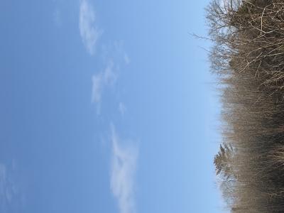 ツカサ (46) 岡山 萬天堂 / 出張性感マッサージ