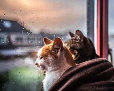 MIYABI (40) 信州 萬天堂 / 出張性感マッサージ