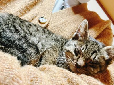 ミオ (27) 横浜 萬天堂 / 出張性感マッサージ