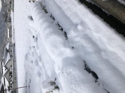 雪ですね⛄️ SAKU (35) 岡山県（出張性感マッサージ