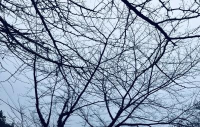 三日月 (32) 大阪 萬天堂 / 出張性感マッサージ