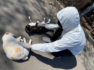 せら (41) 福岡 萬天堂 / 出張性感マッサージ