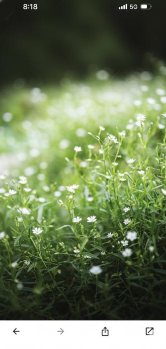 しょうご (40) 広島 萬天堂 / 出張性感マッサージ