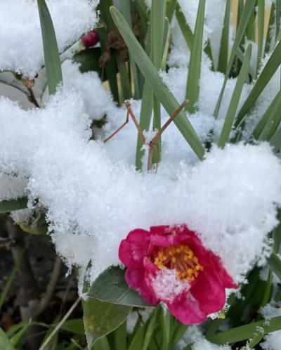 静 (60) 名古屋 萬天堂 / 出張性感マッサージ