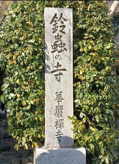 楽 (57) 京都 萬天堂 / 出張性感マッサージ