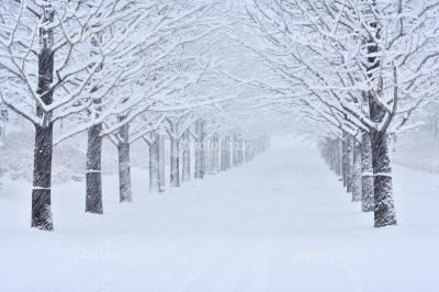 陸斗 (40) 名古屋 萬天堂 / 出張性感マッサージ