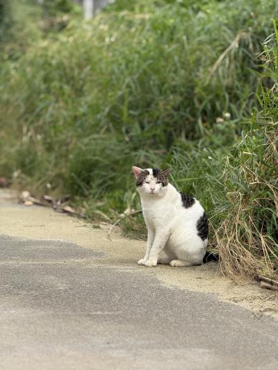 コウ (29) 沖縄 萬天堂 / 出張性感マッサージ