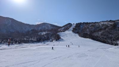 ハル (43) 仙台 萬天堂 / 出張性感マッサージ