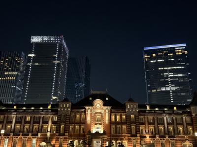 東京駅の灯りに、ほどける夜 獠 (54) 埼玉県（出張性感マッサージ