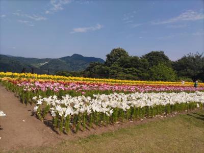 花畑ーーー! 空 (28) 大阪府（出張性感マッサージ