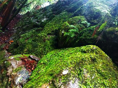 逢央 (33) 名古屋 萬天堂 / 出張性感マッサージ