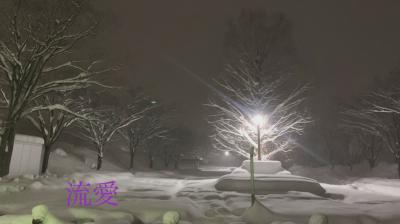 流愛 (44) 新潟 萬天堂 / 出張性感マッサージ