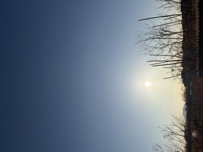 おはよう ツカサ (46) 岡山県（出張性感マッサージ