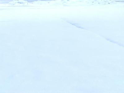 連日雪です 隣 (38) 富山県（出張性感マッサージ