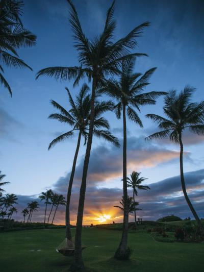 椎名 (52) 東京 萬天堂 / 出張性感マッサージ